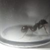 20160627 072433