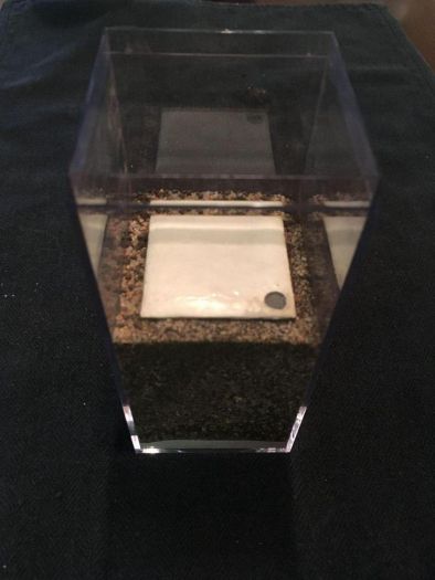 Small dirt box formicarium