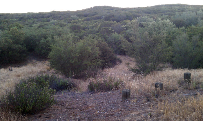 IMAG0985
