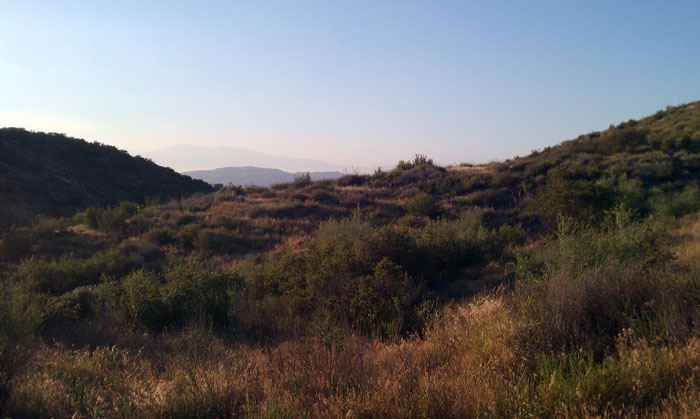 IMAG0977