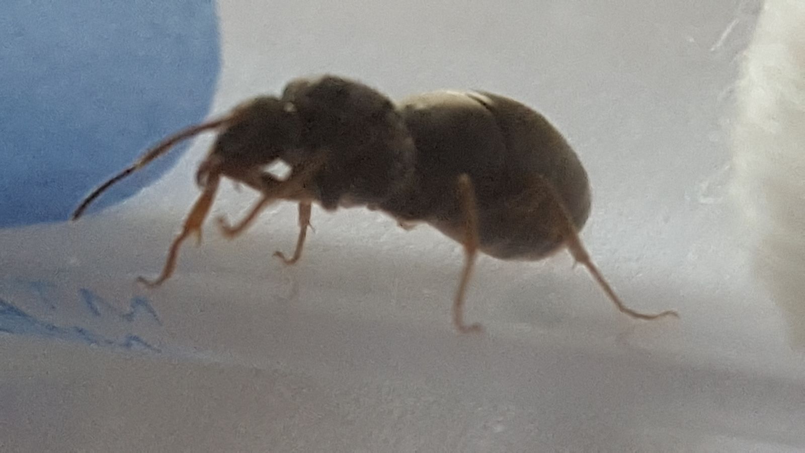 20160712 091204 20160712 091204