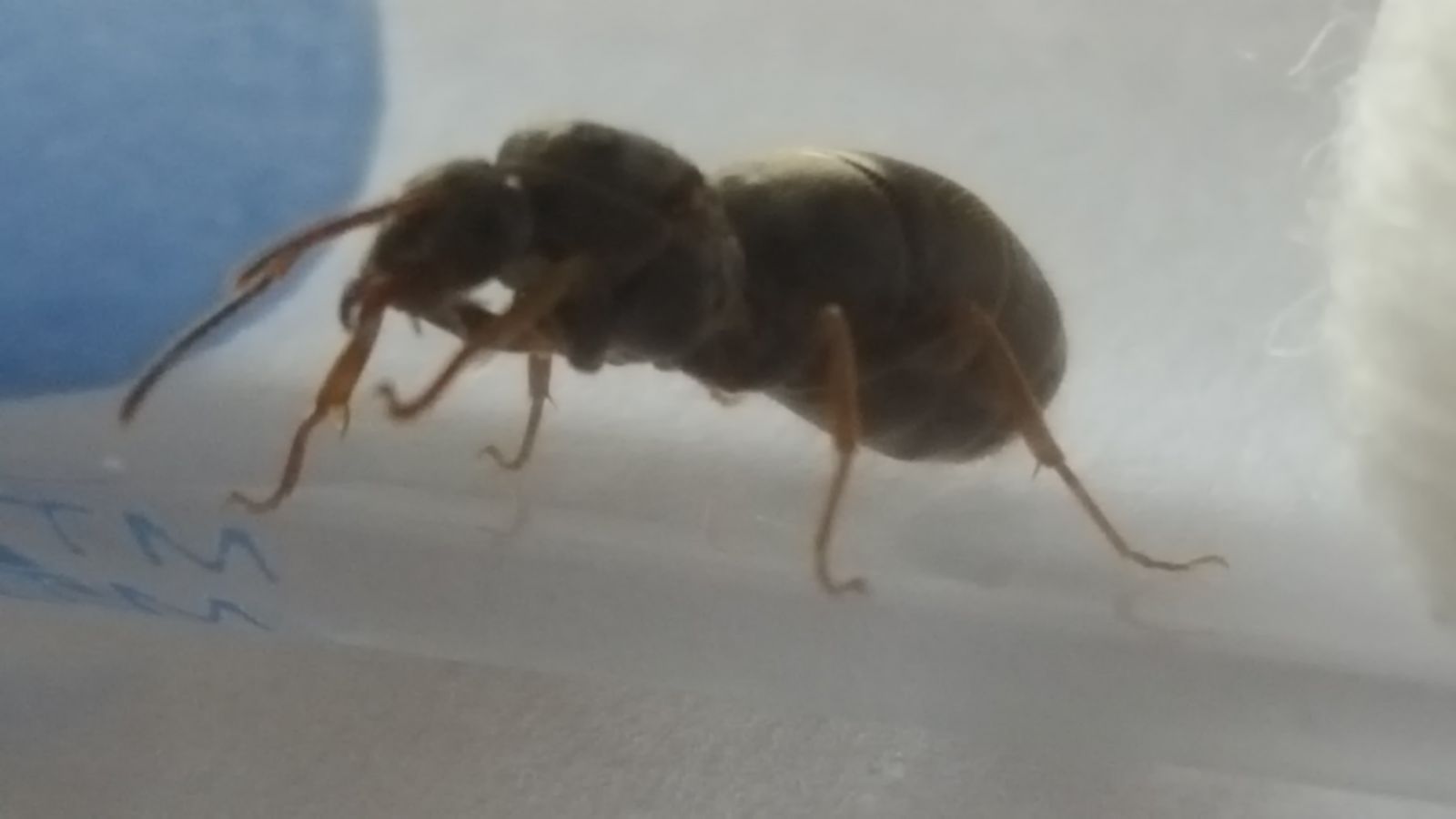 20160712 091206 20160712 091206