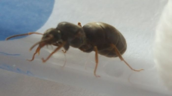 20160712 091129