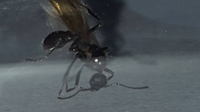 20160909 213157 20160909 213157