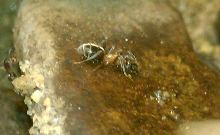 IMAG0162