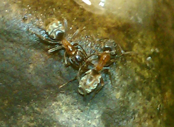 IMAG0173