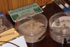 IMG_2629.JPG IMG_2629.JPG