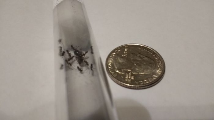 size comparison size comparison