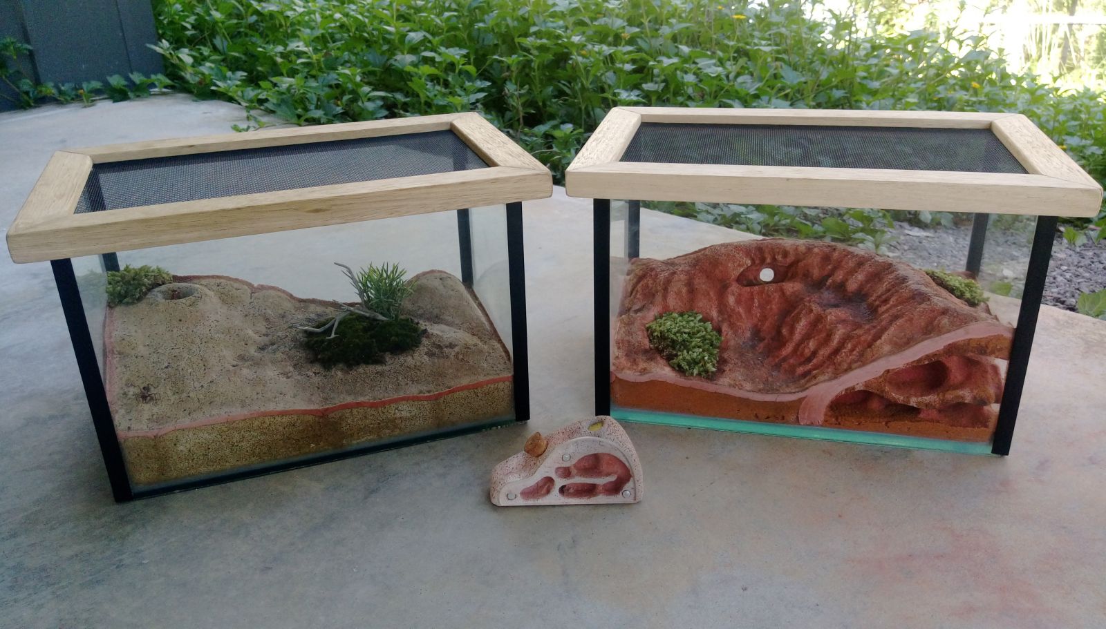 Hebel formicarium range