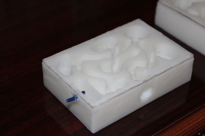 formicarium #3 (1) formicarium #3 (1)