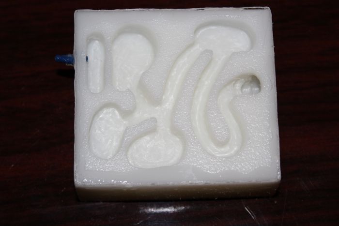 formicarium #4 (2) formicarium #4 (2)