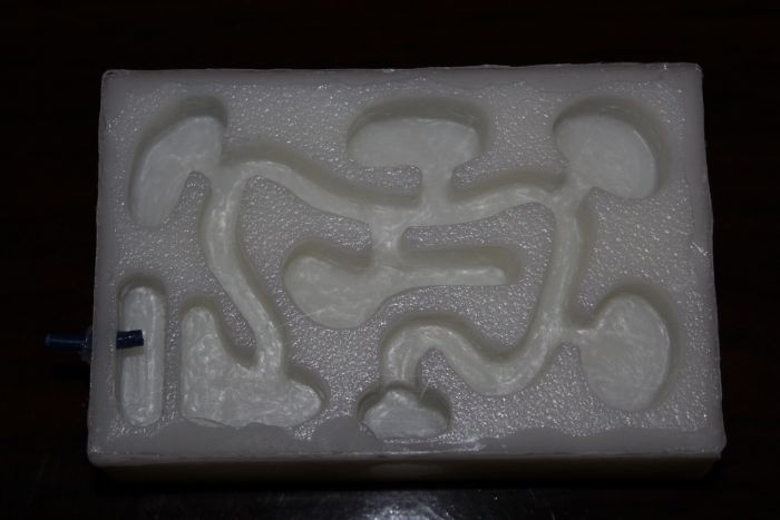 formicarium #3 (2) formicarium #3 (2)