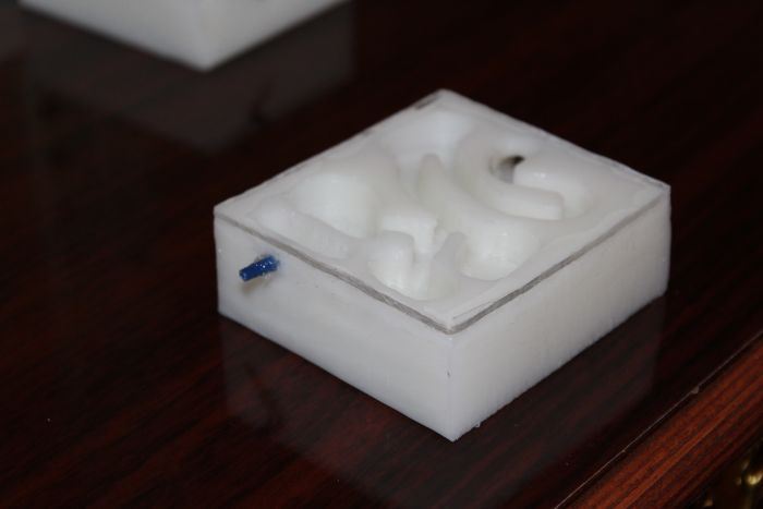 formicarium #4 (1) formicarium #4 (1)