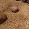 IMG 1702
