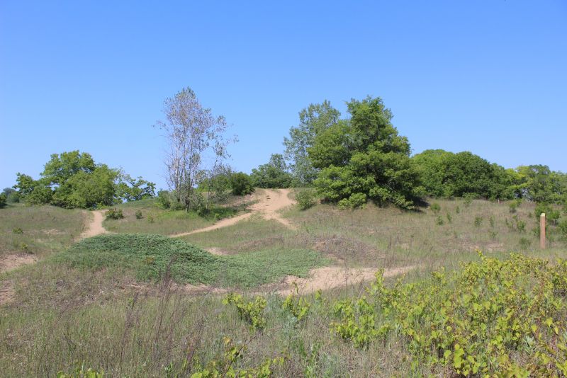 Kenosha Sand Dunes