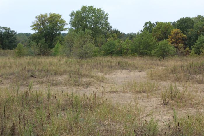 kenosha sand dunes