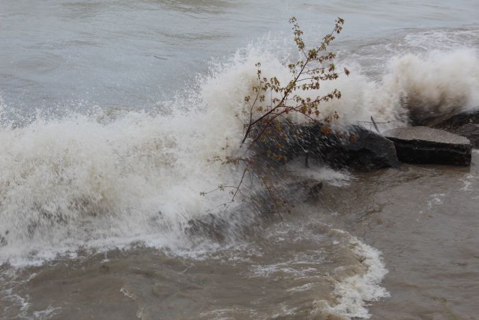 Kenosha Sand Dunes