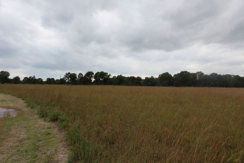 Woodman Lake Sand Prairie And Dead Lake