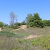 Kenosha Sand Dunes