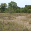 kenosha sand dunes