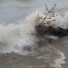 Kenosha Sand Dunes