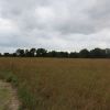 Woodman Lake Sand Prairie And Dead Lake