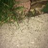IMG 5961[1]