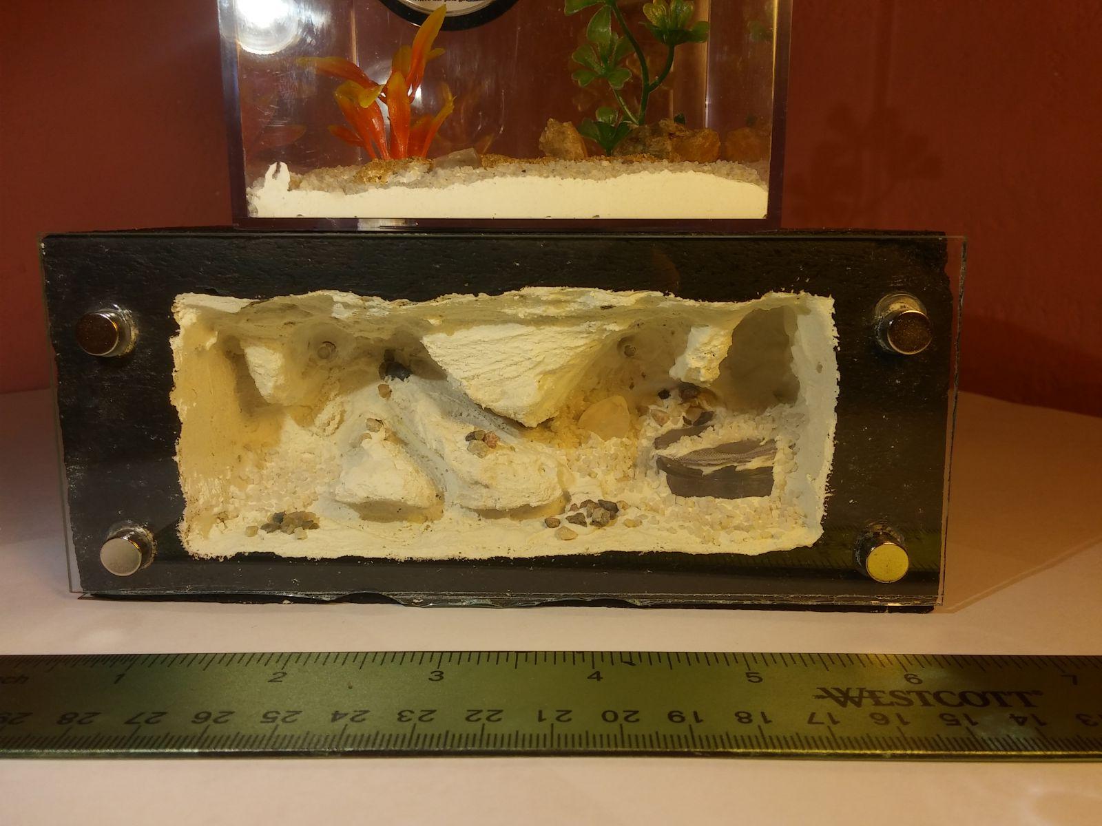 medium sized formicarium with led lights