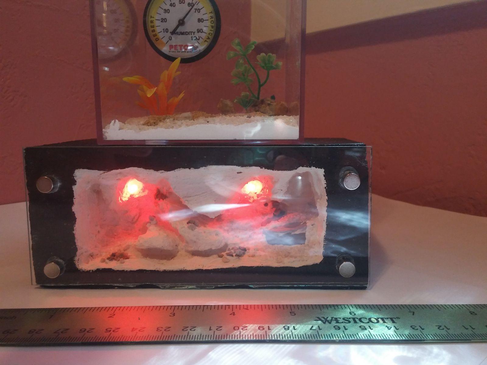 Medium sized formicarium