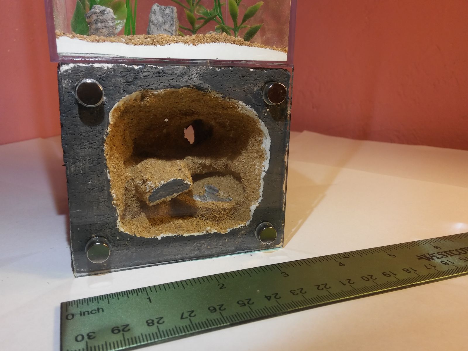 Two sided formicarium