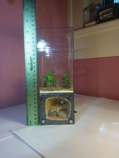 Two sided Formicarium