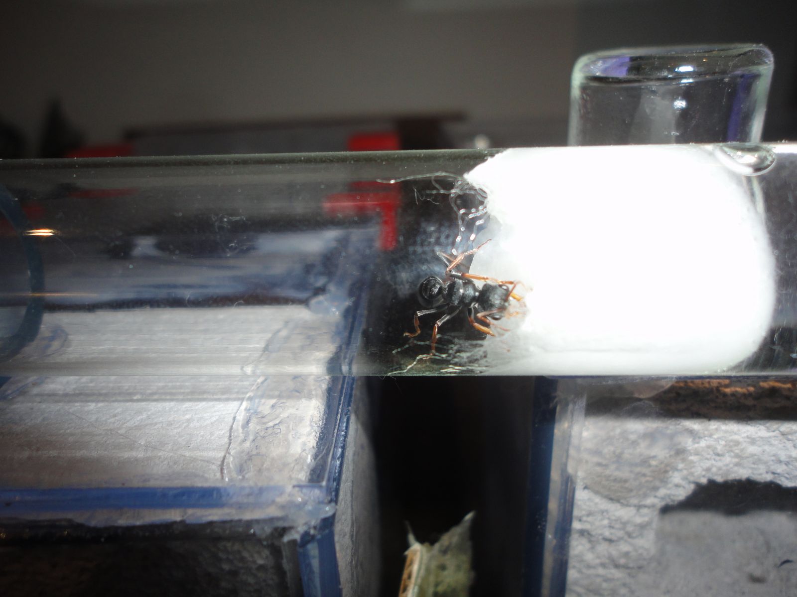 DSC00579 DSC00579