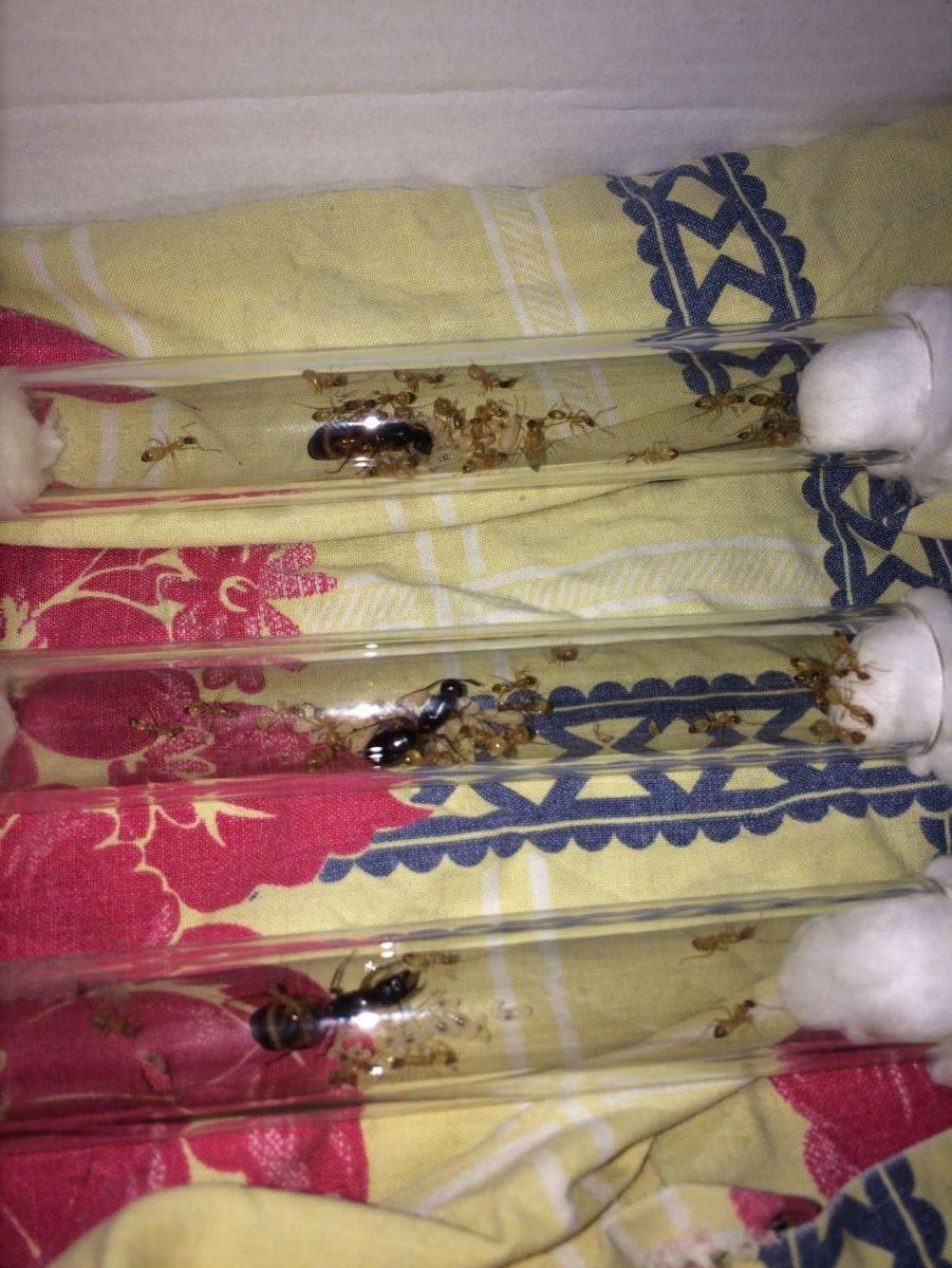IMG 2085 IMG 2085