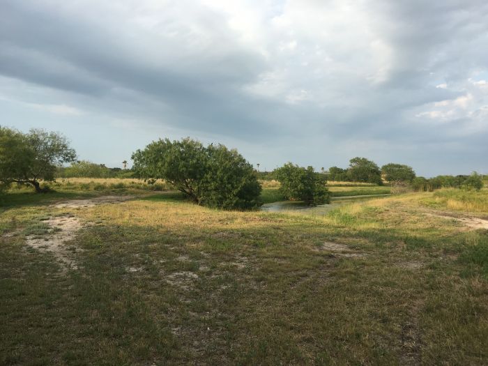 This is the terrain and environment.