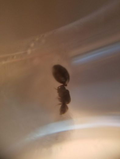 20170621 170145 20170621 170145