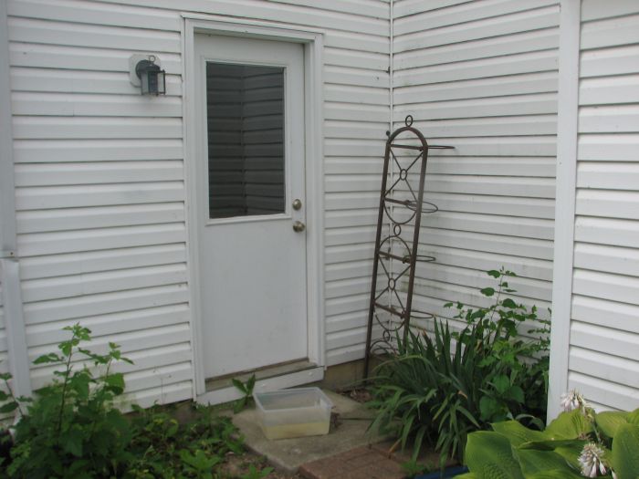 IMG 3501