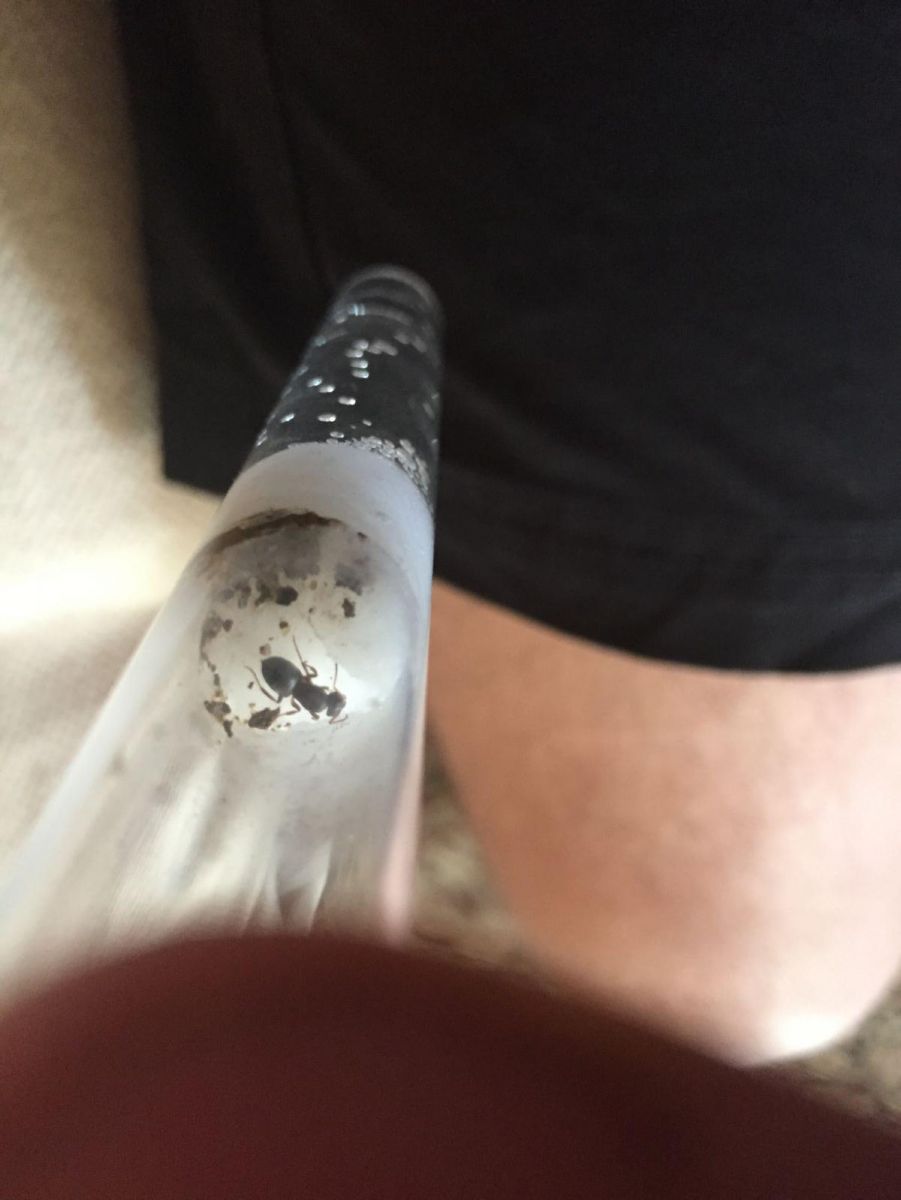 id request id request