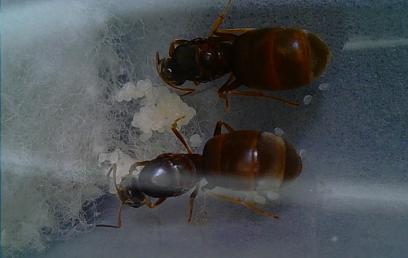 IPC_2021-02-27.13.12.11.4730.jpg