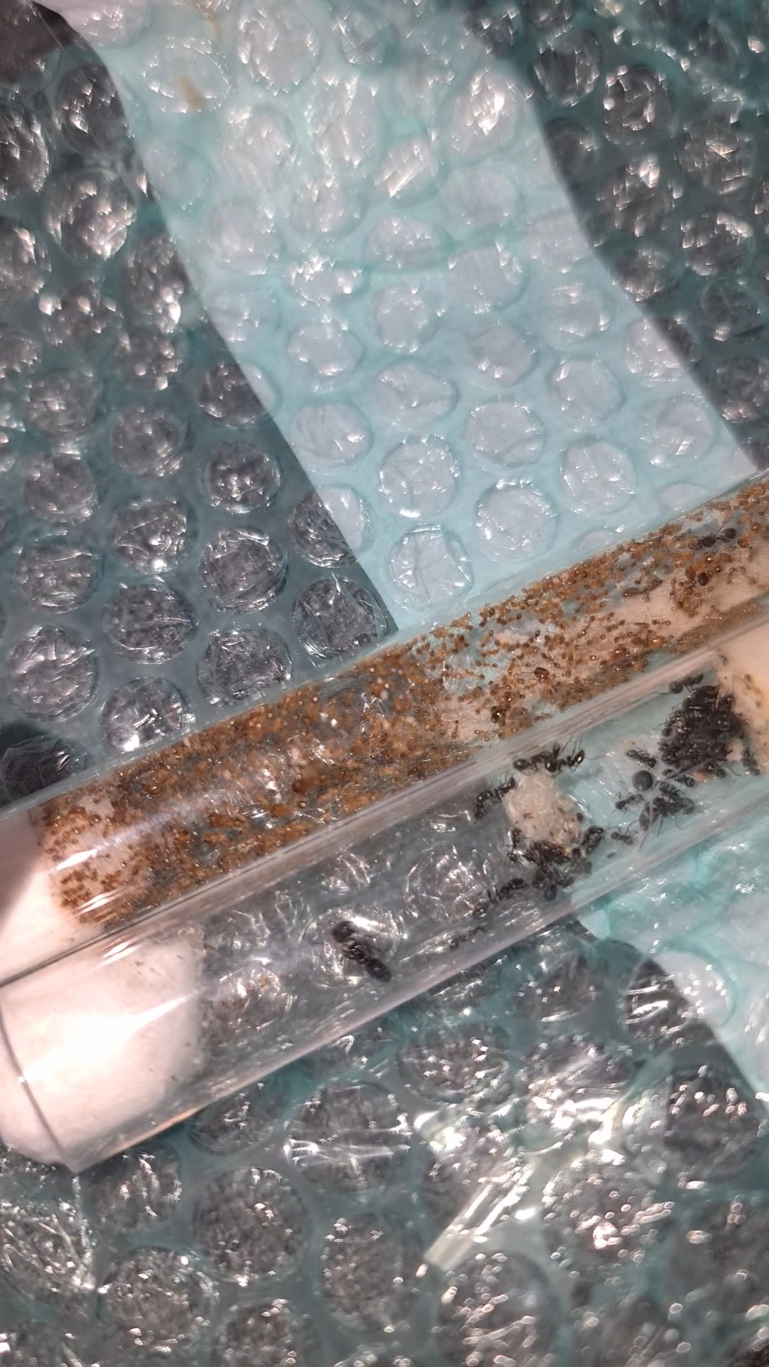 VideoCapture_20230422-201314.jpg