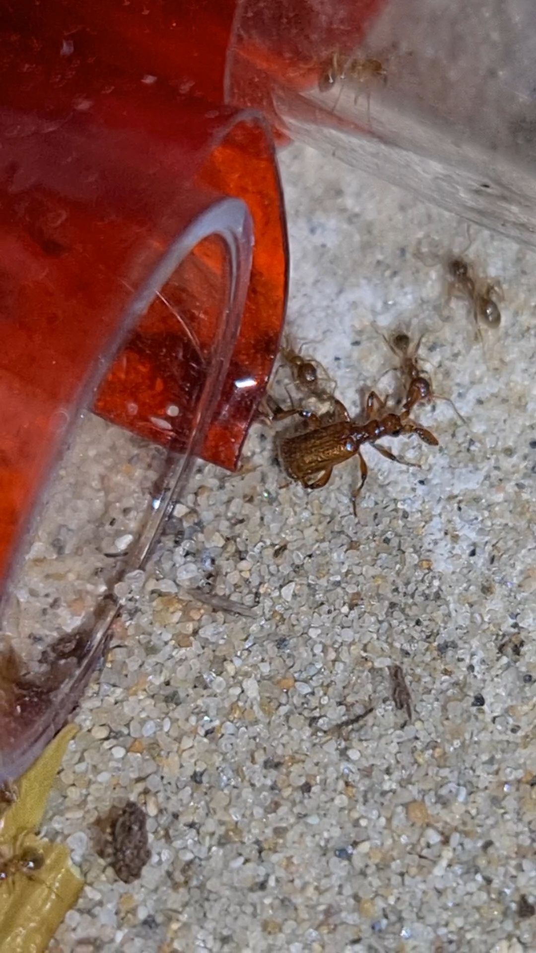 VideoCapture_20230418-093639.jpg