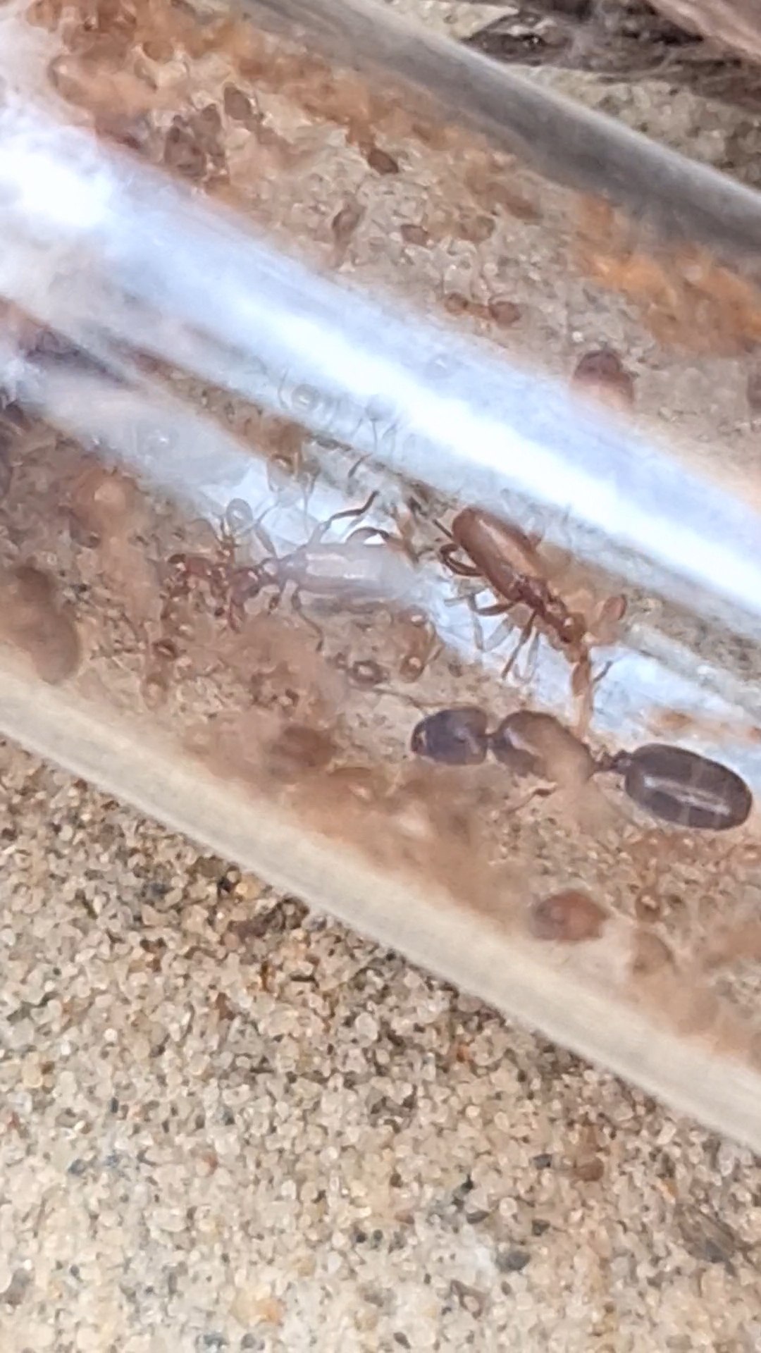 VideoCapture_20230415-104429.jpg