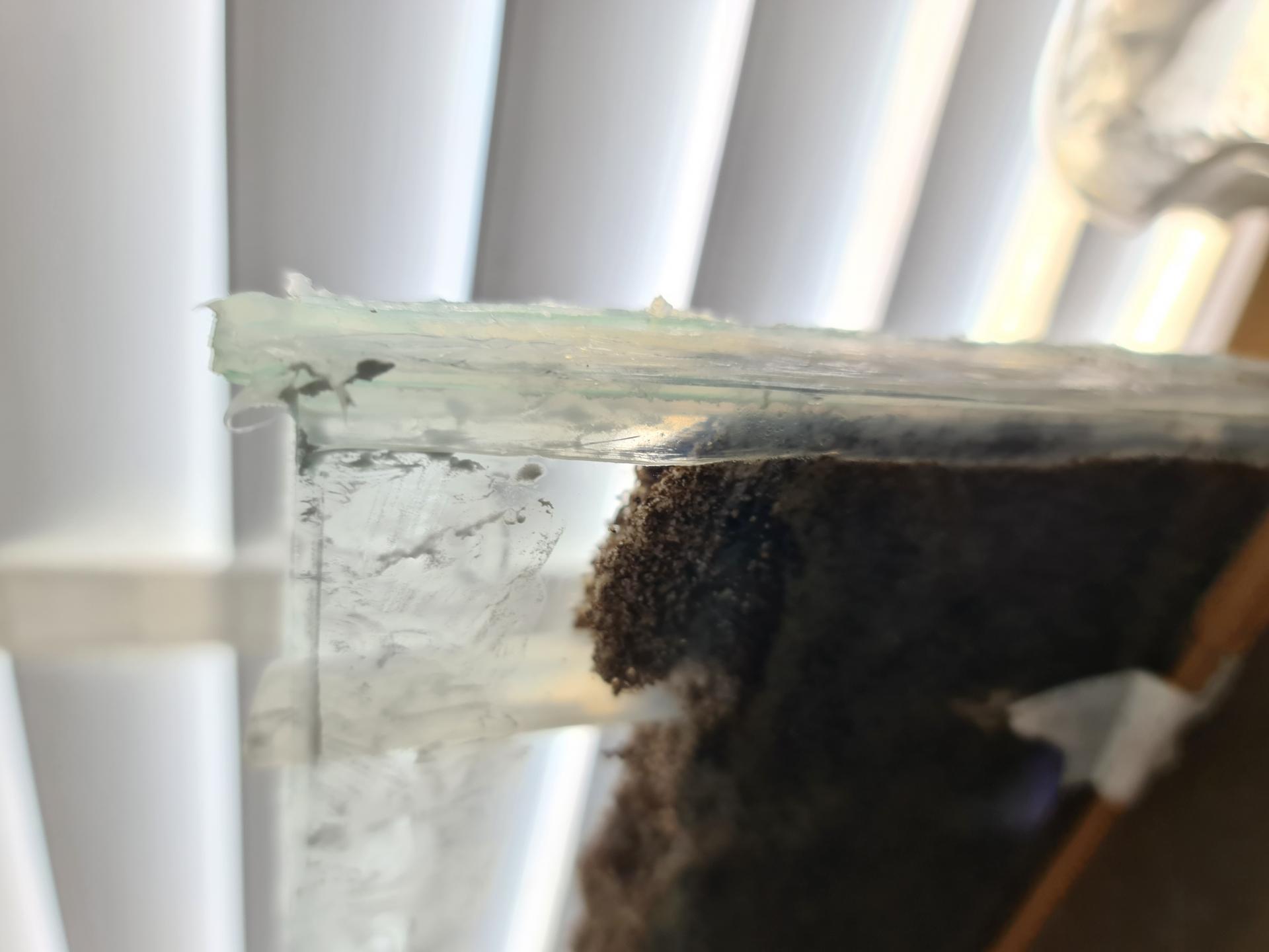 20230607_141354.jpg