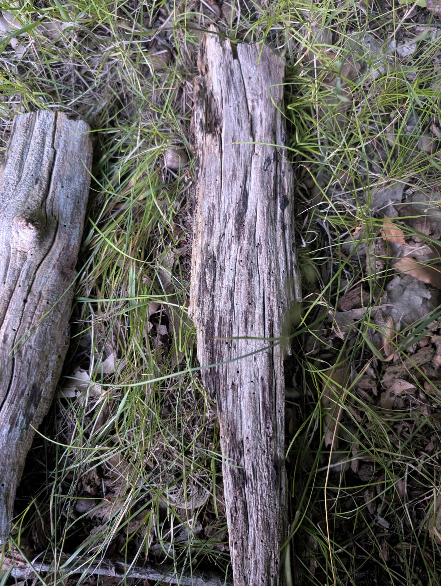 PXL_20250716_011101766.jpg