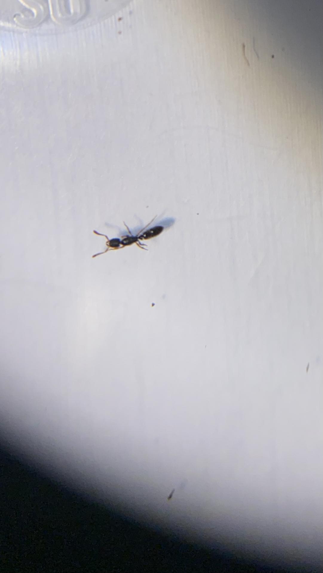 IMG_2816.jpeg