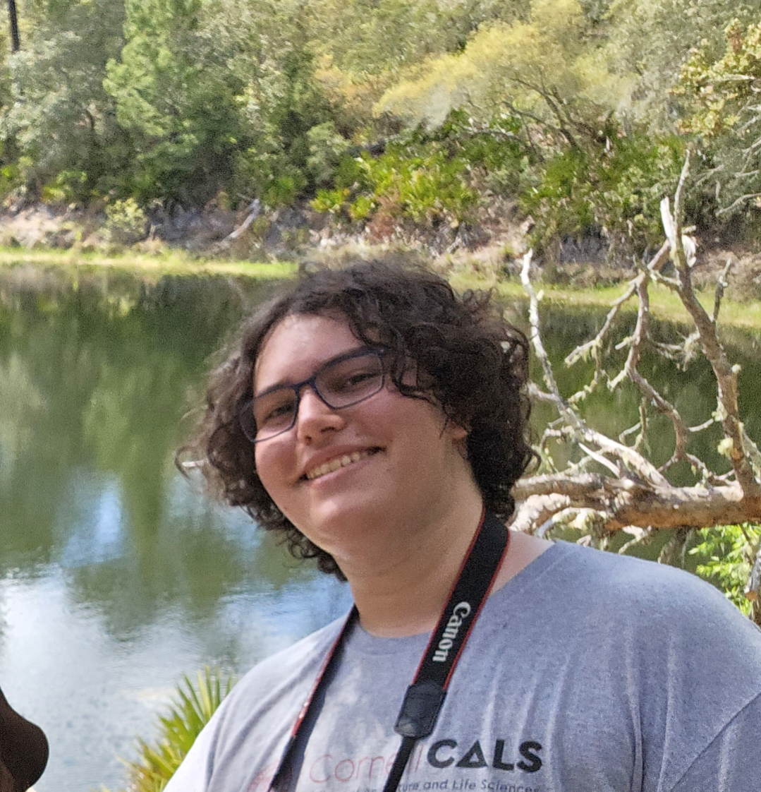 Mettcollsuss's Photo