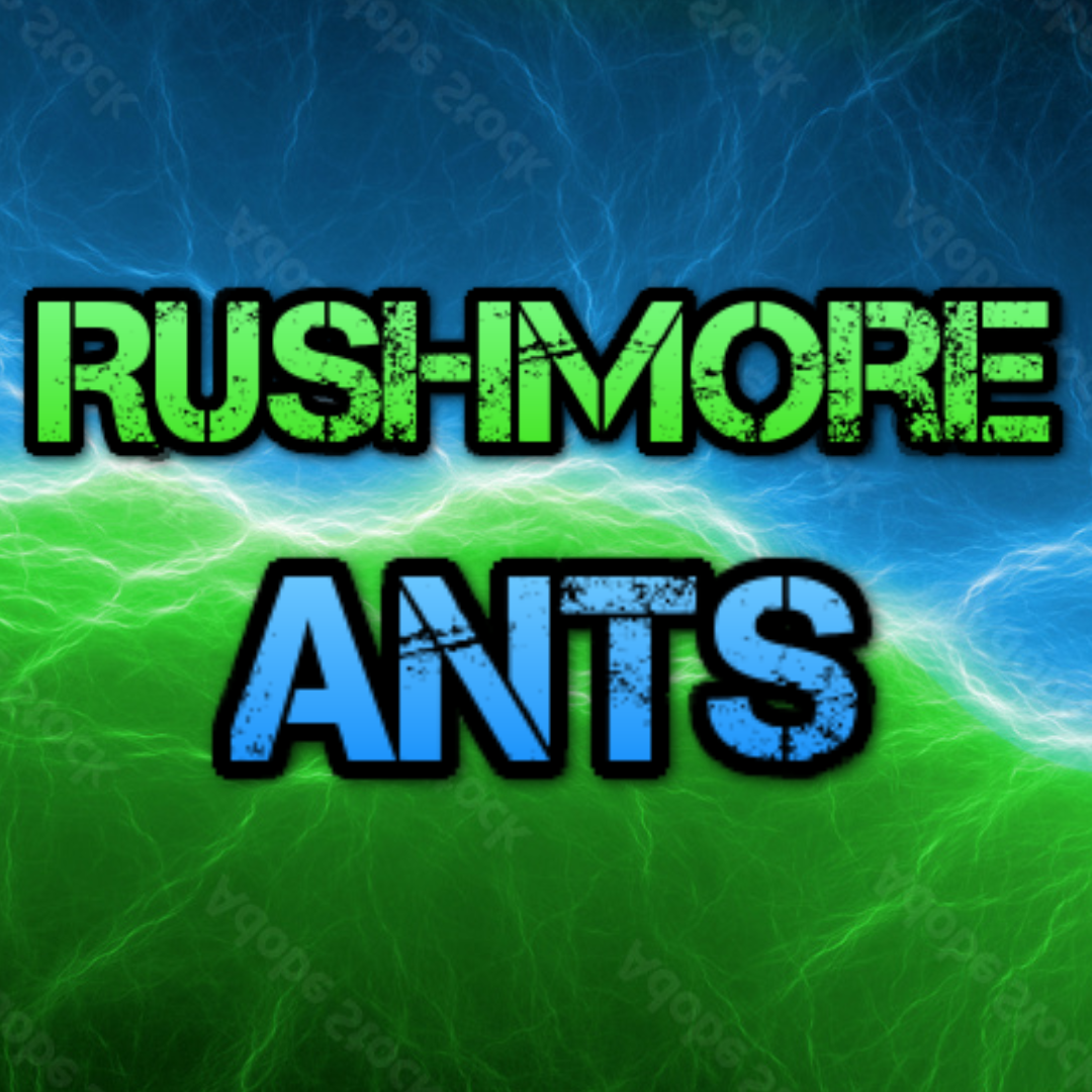 RushmoreAnts's Photo