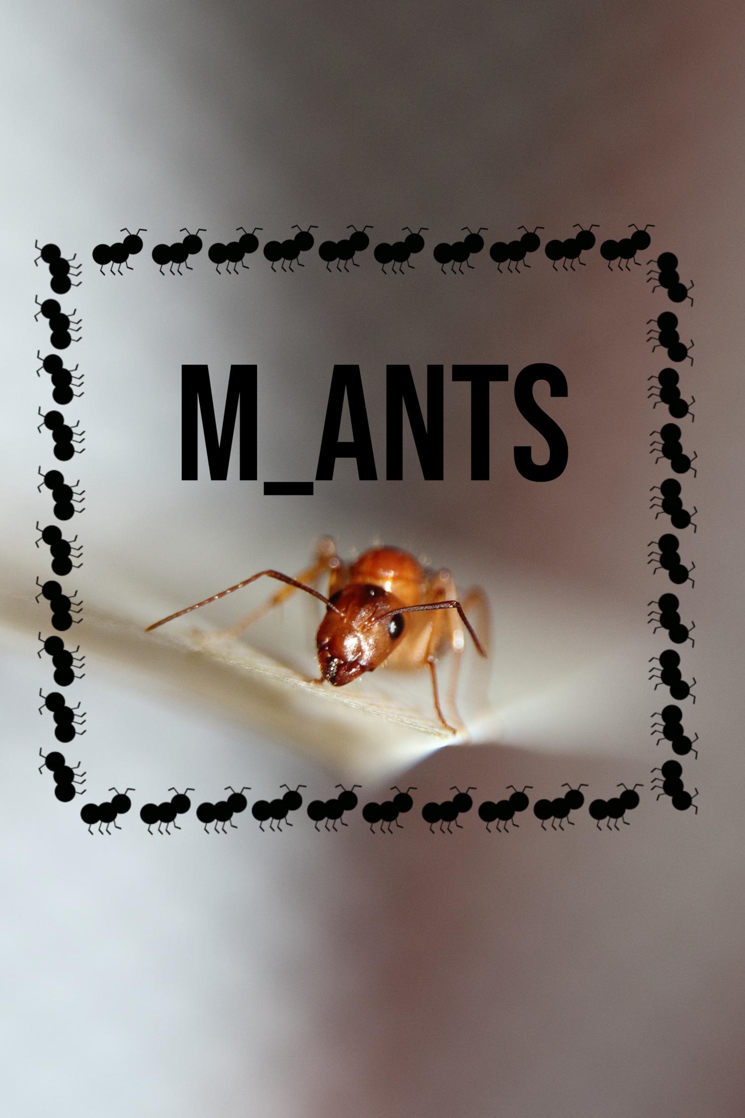 M_Ants's Photo