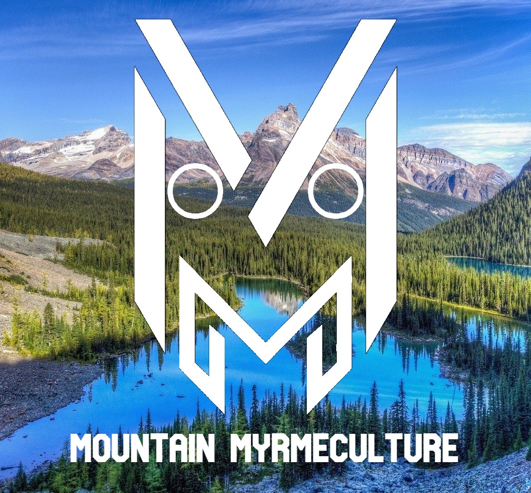 MountainMyrmeculture's Photo