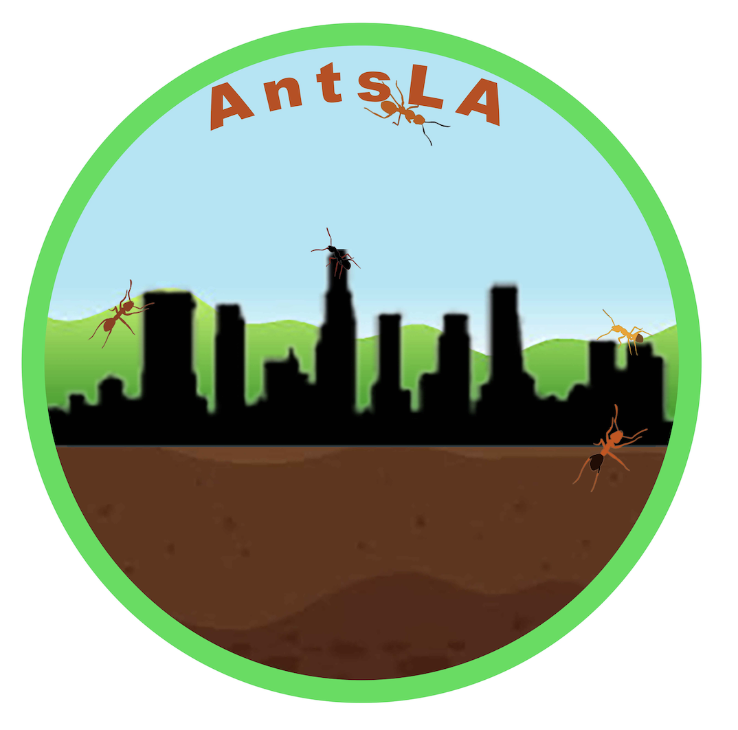 AntsLA-1's Photo