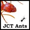 Why do Myrmecocystus eat their own brood? - last post by OTHER